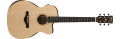 ibanez_ac150ce_opn.png