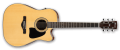 ibanez_aw70ece_nt.png