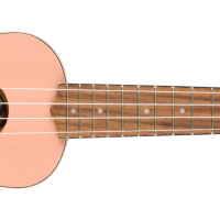Fender Venice Soprano Ukulele Shp Nrw