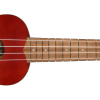Fender Venice Soprano Ukulele Chr Wnt